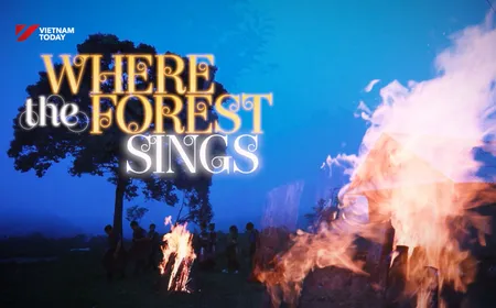 Where the forest sings | Discovery