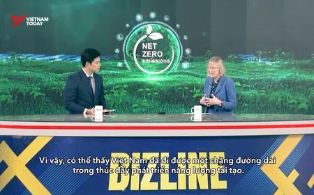 Việt Nam Emerges As Destination For Green Investment | Bizline