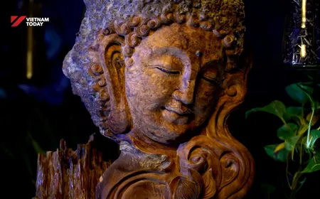 Lâm Sơn Wood Root | Vibes of Vietnam