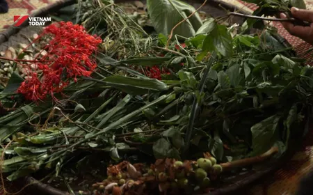 Lào Cai promotes potential of Medicinal Plants and Traditional Medicine Wisdom | Vibes of Vietnam