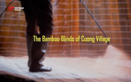 The bamboo blinds of Cường village | Vibes of Vietnam