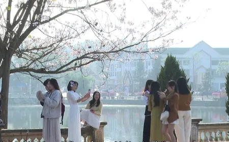 Culture Mosaic | 14.03.2026