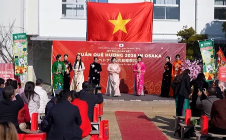 Japan Link - 05.03.2026