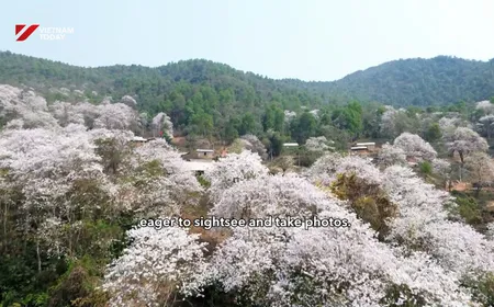 France Link | 16.03.2026