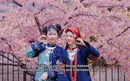 Japan Link - 26.03.2026