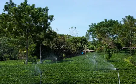 How the EU’s Global Gateway initiative is reshaping investment flows into Vietnam | Bizline