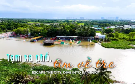 Escape the city, dive into bamboo | VIBES OF VIETNAM