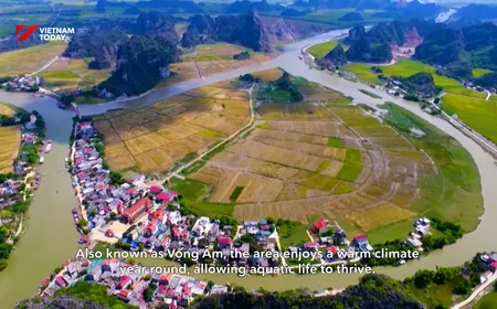 Life rhythms in the floodplain | Vibes of Vietnam