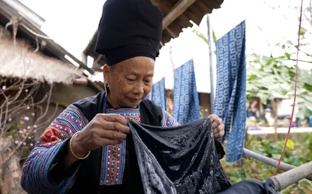 The shirt of Happiness | Insights