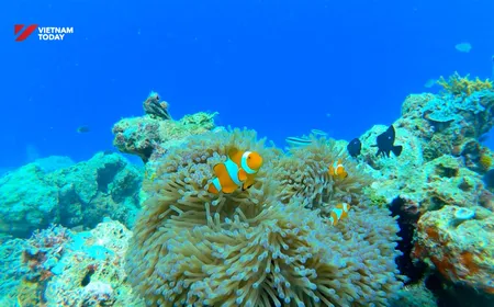 Ocean Mysteries: Rough Seas | Insights