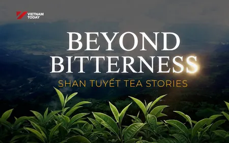 Shan Tuyết Tea Stories | Flavours & Beyond