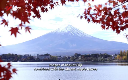 Japan Link - 09.04.2026