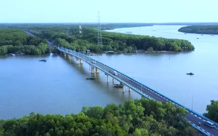 Cần Giờ Prosperity | Insights