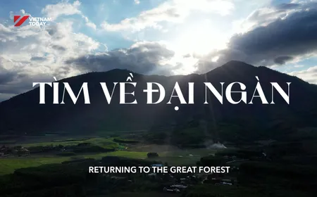 Returning to the great forest | Vibes of Vietnam
