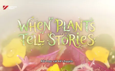 When plants tell stories | Flavours & Beyond