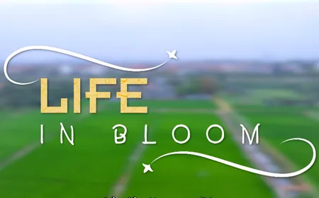 Life in Bloom | Discovery