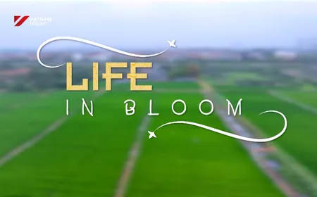 Life in Bloom | Discovery