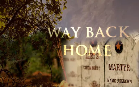 Way back home | S: for Peace