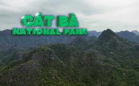 Cát Bà National Park - where life holds on | Heritage Journey