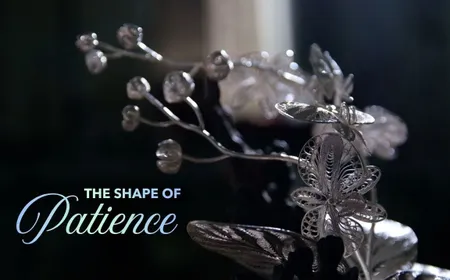 The Shape of Patience | Vietnam at a Glance