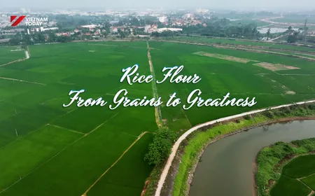 Rice Flour - From Grains to Greatness | Flavours and Beyond