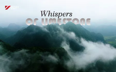 Whisper of the Limestone | Discovery