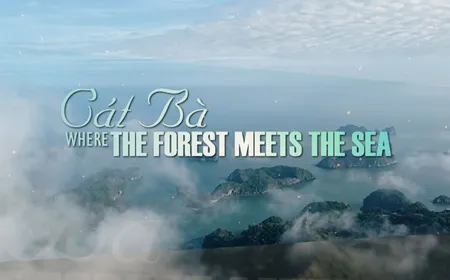 Cát Bà - Where the forest meets the sea | Heritage Journey