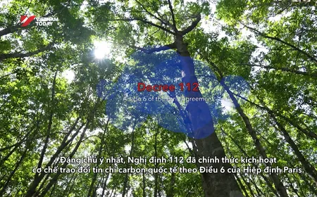 Việt Nam seeks to capitalise on carbon market opportunities | Bizline