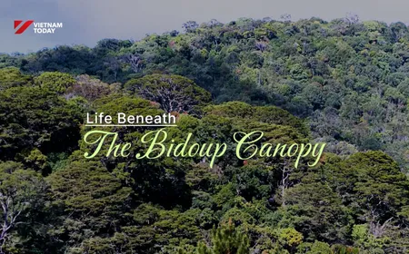 Life Beneath the Bidoup Canopy | Echoes of the Wild