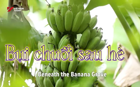 Beneath the Banana Grove | Vibes of Vietnam