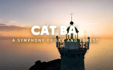 Cát Bà – A Symphony of Sea and Forest | Vibes of Vietnam