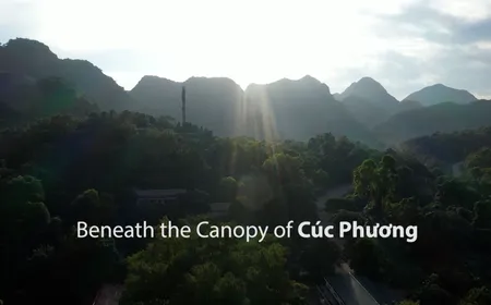 Beneath the Canopy of Cúc Phương | Vibes of Vietnam