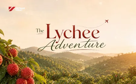 The Lychee Adventure | Local Towards Global