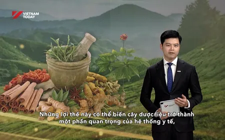 Việt Nam taps economic potential of medicinal plants | Bizline