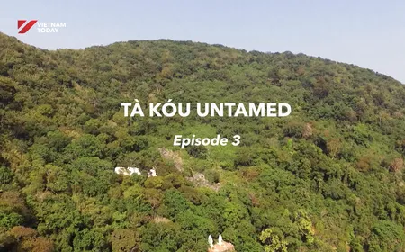 Tà Kóu untamed - Episode 3 | Insights