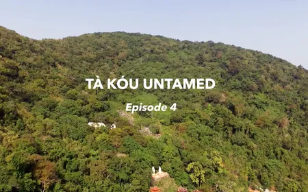 Tà Kóu untamed - Episode 4 | Insights