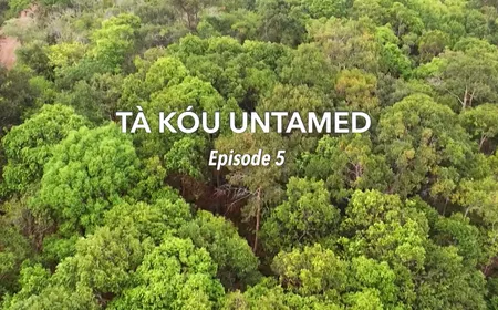 Tà Kou untamed - Ep 5 | Insights