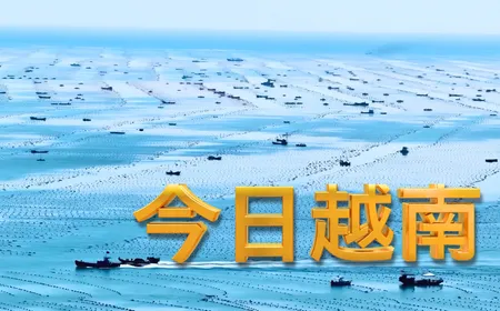 China Link | 24.06.2026