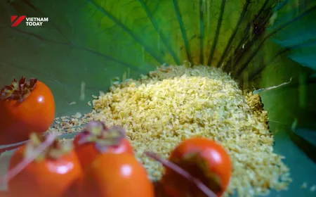 The Many Lives of Rice | Hidden Charm