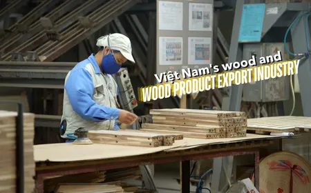 The Point 1: Việt Nam's wood and wood product export industry | 01.07.2026