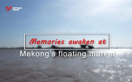 Memories on the River | Insights