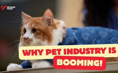 Why Việt Nam's pet industry is blooming | Vietnam Explained