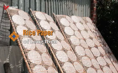 Rice paper of Long Điền | The Rhythms of Vietnam