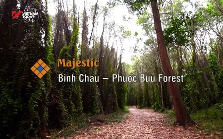 Majestic Bình Châu – Phước Bửu Forest | The Rhythms of Vietnam