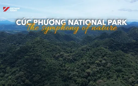 Cúc Phương National Park | Vietnam Destination