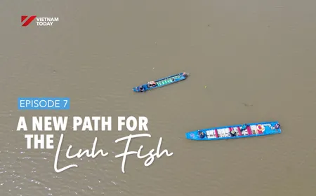 Tracing Linh fish: Ep 7 - A new path for Linh fish | Vibes of Vietnam