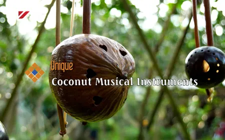 Coconuts musical instruments | The Rhythms of Vietnam