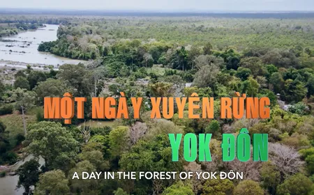 A Day in the Forest of Yok Đôn | Vibes of Vietnam