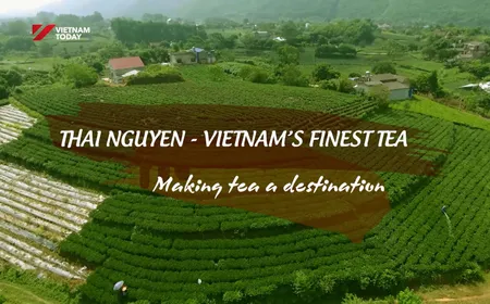 Thái Nguyên - Việt Nam’s finest tea | Local Towards Global