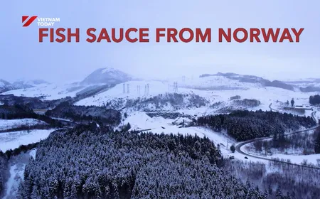 Fish sauce from Norway | Vietnam Imprints